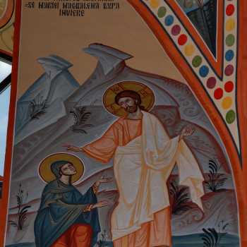 Pictura bisericeasca [Bumbu Constantin, Bumbu Emanuel, Bumbu Liviu]: Biserica 'Adormirea Maicii Domnului' Manastirea Dumbrava, Com. Unirea, Alba