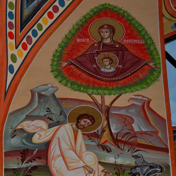 Pictura bisericeasca [Bumbu Constantin, Bumbu Emanuel, Bumbu Liviu]: Biserica 'Adormirea Maicii Domnului' Manastirea Dumbrava, Com. Unirea, Alba