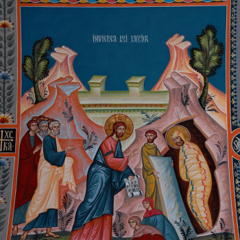 Pictura bisericeasca [Bumbu Constantin, Bumbu Emanuel, Bumbu Liviu]: Biserica 'Adormirea Maicii Domnului' Manastirea Dumbrava, Com. Unirea, Alba